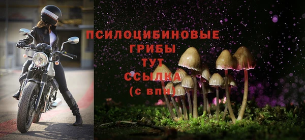 mix Аркадак