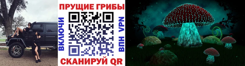 Галлюциногенные грибы мицелий  Аткарск 