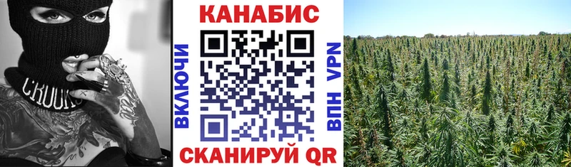 МАРИХУАНА сатива Аткарск